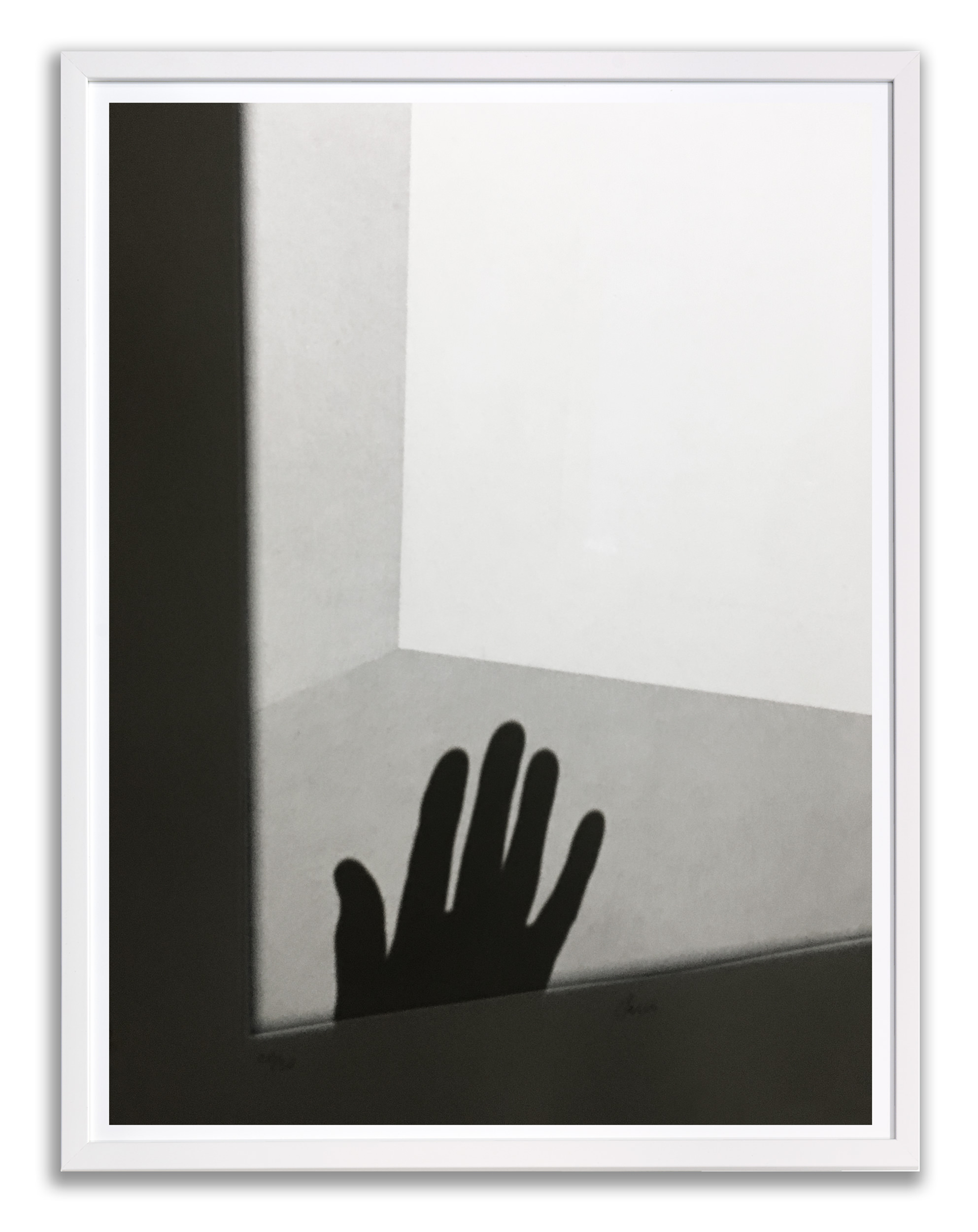 Autoshade 'Me & James Turell'