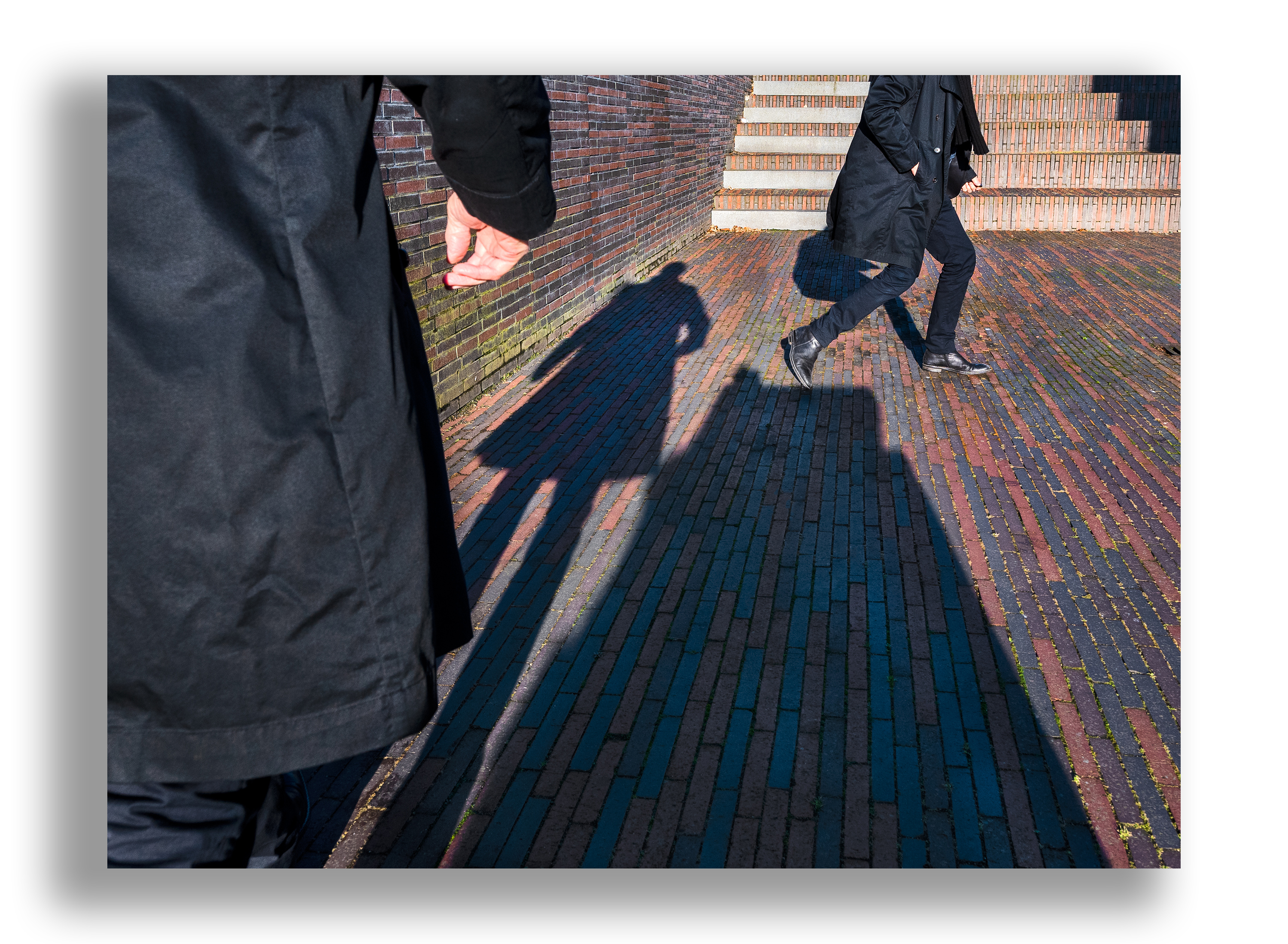 Autoshade 'Teo bij Casa Casla' Almere 