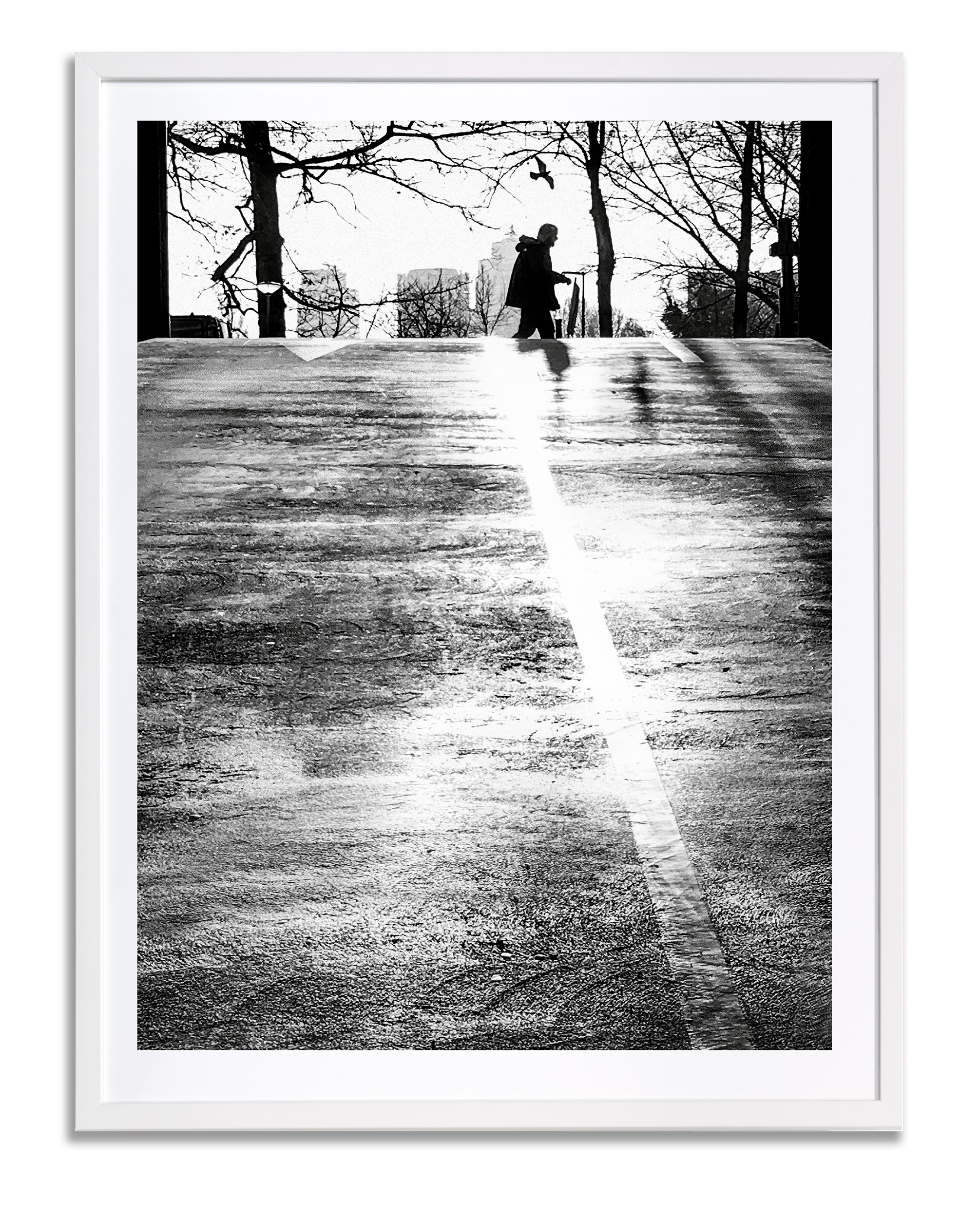 Cityshape 'Vomar Amsterdam'